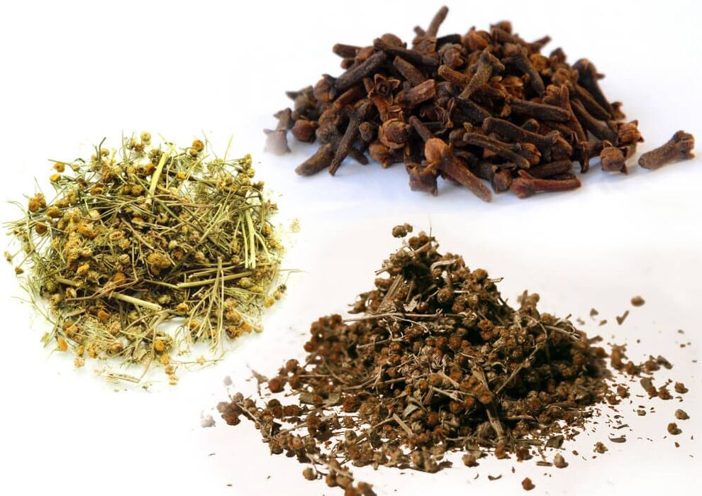 Αψιθιά, τάνσυ και γαρύφαλλο για να απαλλαγείτε από τα παράσιτα